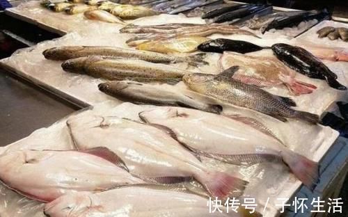 营养|内行人买鱼专挑这4种鱼,肉嫩刺少营养好,目前还不能人工养殖!