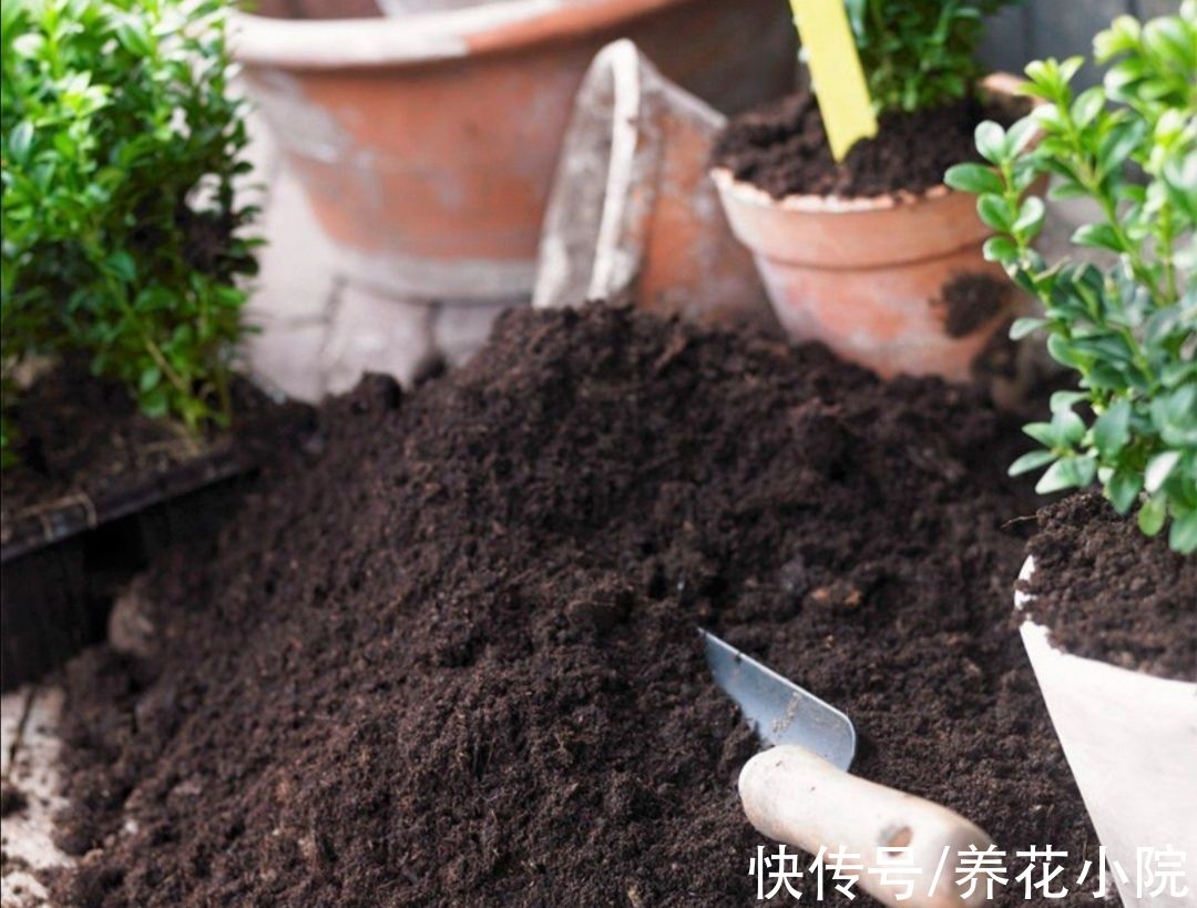 家庭养花，4种花土别乱用，否则啥花都养不好