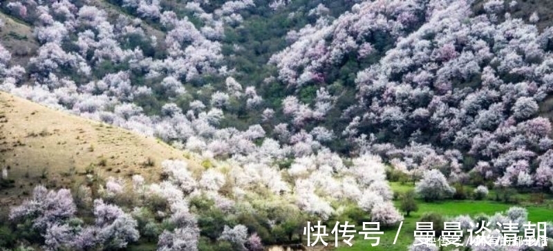 王安石|王安石最伤感的一首诗,更是表达了一种无奈的人生,读来肝肠寸断