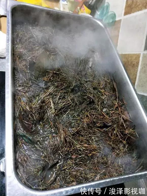 羊粪|路边捡来4种小东西,丢在盆底,一年不用施肥,也不怕烂根!