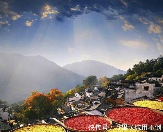 登高|登高饮菊酒,人共醉重阳