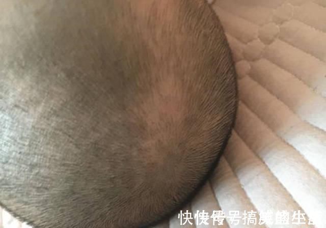 学步车|二胎宝妈母婴店常见的几个套路,别跳,小心上千元打水漂