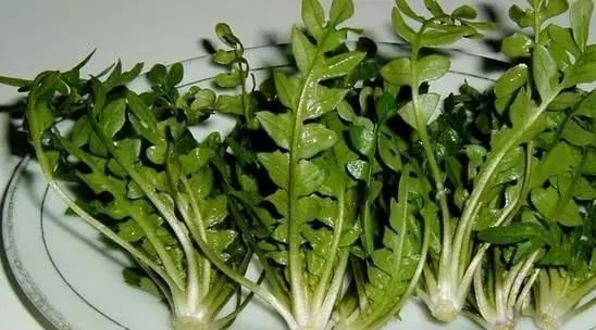 心脑血管病|高血压不用依靠“药”,常吃这5种食物,或能帮您控制血压更健康