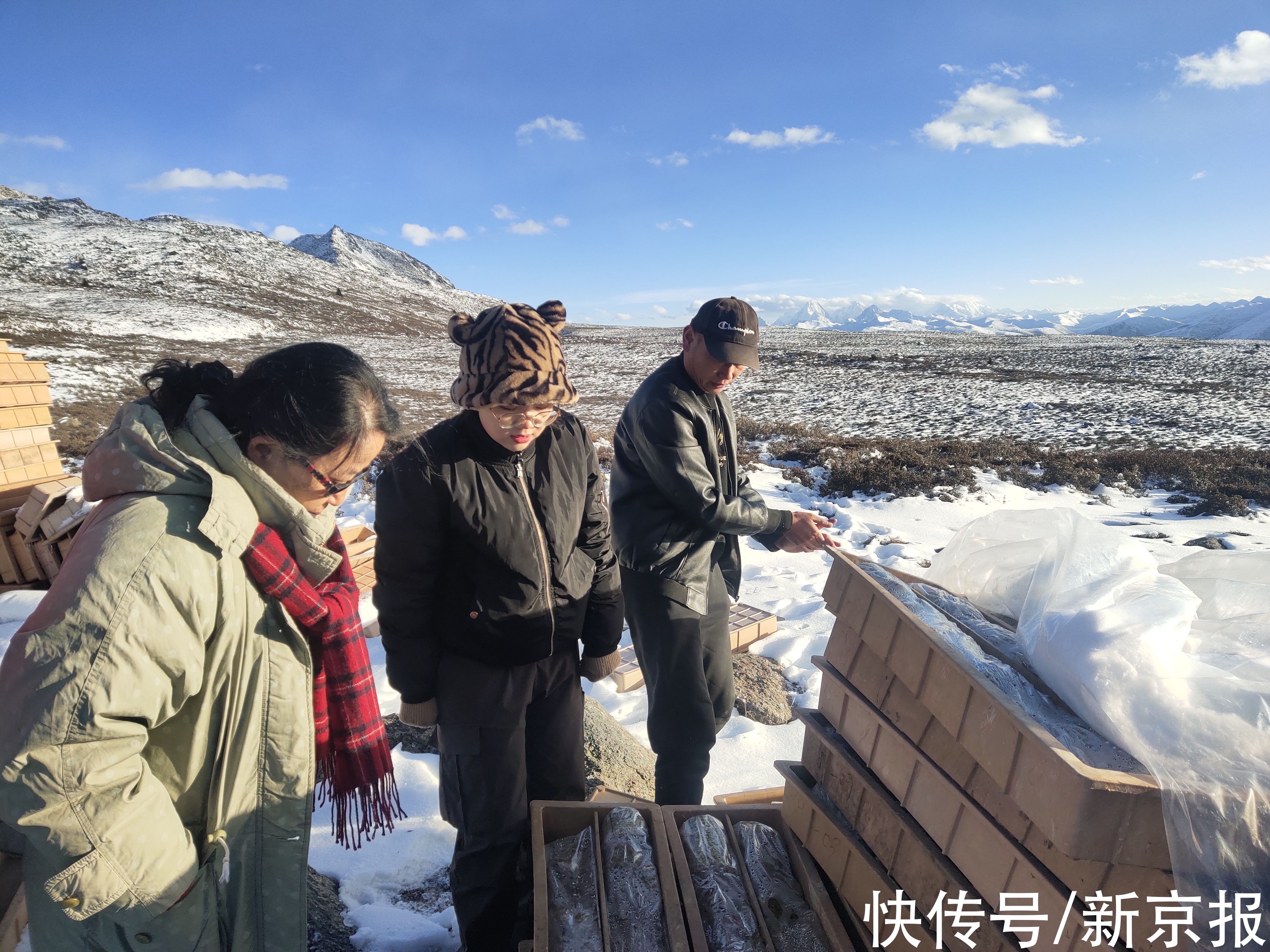 地质|哀牢山事件背后的地质人｜一个女地质学家的四十四年