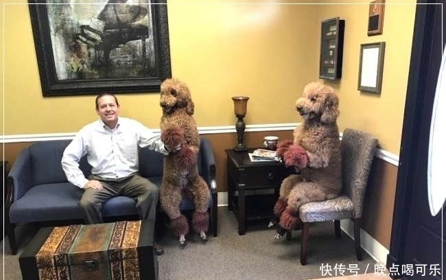 画面|18张令人惊叹的画面,可以让你重新认知这个世界,看后难忘!