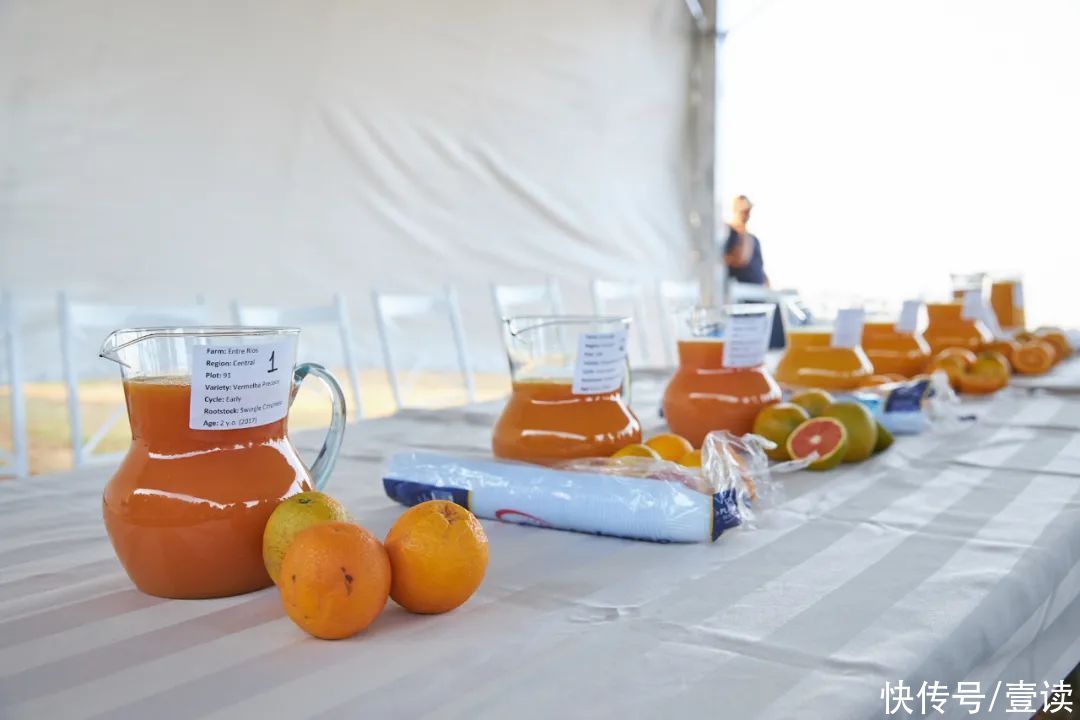 橙汁|运动之后为什么不推荐喝白水？