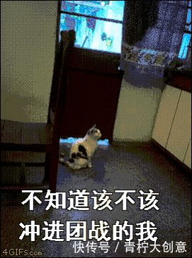 别再问美术生这三个蠢问题啦!美术生得罪谁了让你们这么欺负?