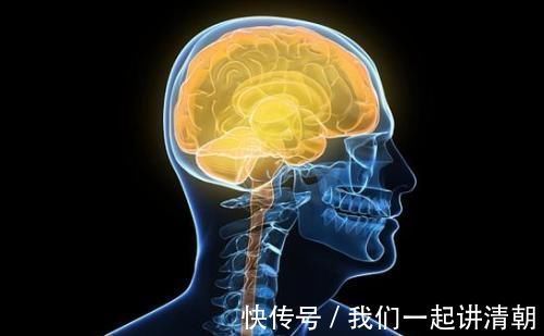 萃枫苷|脑供血不足,头部会出现5个信号,一个不占,证明血管很畅通