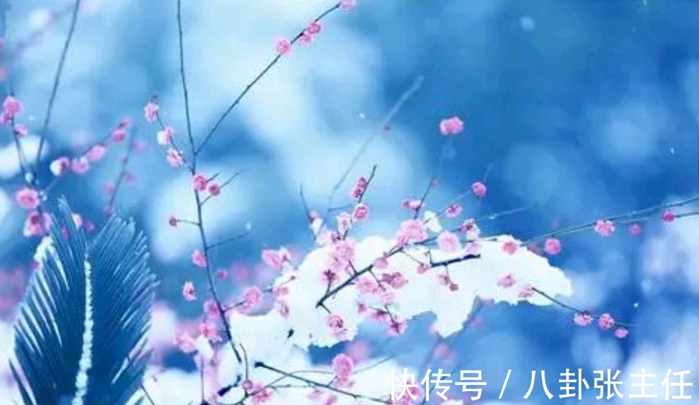 争锋$野渡征联:梅雪争锋春设局,征对下联