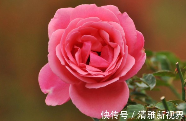 致命错误!真正“有本事”的人,都有4个本领,难怪天天赚大钱!