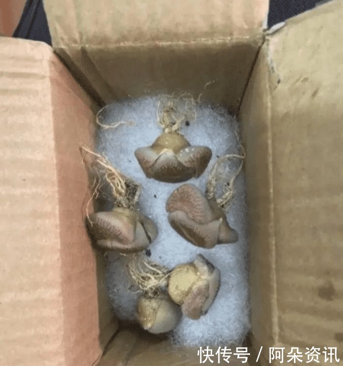 女生|“为什么总是觉得东北女生好看？”哈哈哈哈哈哈，义薄云天的好看？