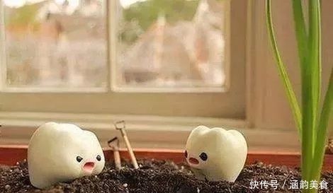 沙拉酱|婴儿乳牙萌出5个阶段及护理新父母一定知道