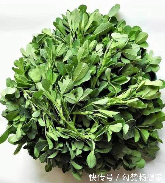 很好吃|春天了,5样“野菜”别错过,包成饺子,鲜嫩美味,很好吃