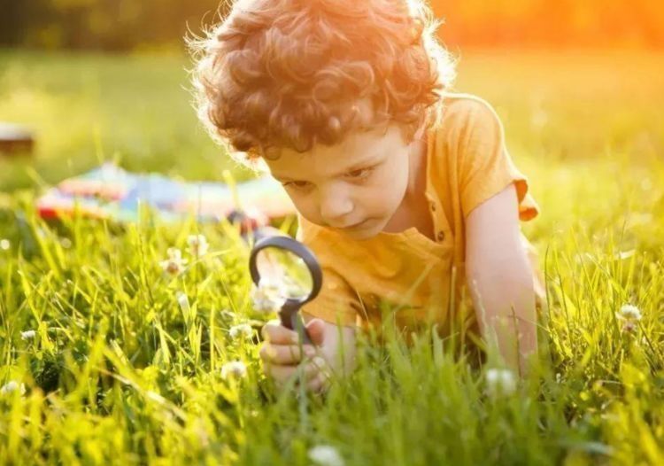 这个世界|教育专家卢勤坦言:“天才”宝宝有4个特征,家长别不在意