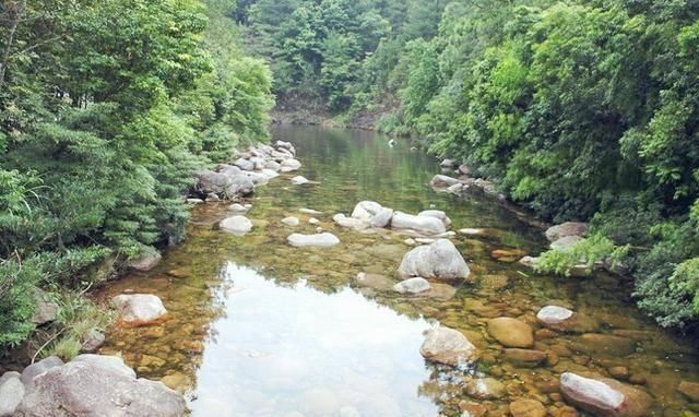 补品|它常被误认成鲶鱼,一斤180元比刀鱼鲜美,如今被当补品快吃绝了