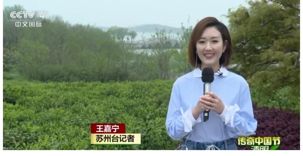 主持人大賽選手入職央視后續(xù)：成績不代表什么，央視認可才是關鍵