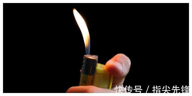 海绵宝宝|可用之处不多,但却使人渊博的23个有趣冷知识