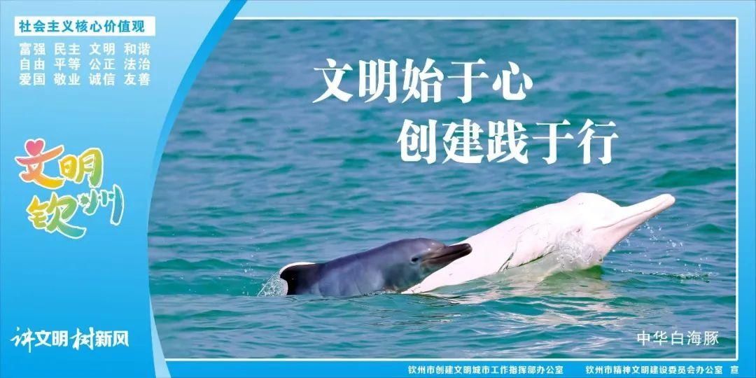 国庆|广西疾控发布中秋国庆健康提示