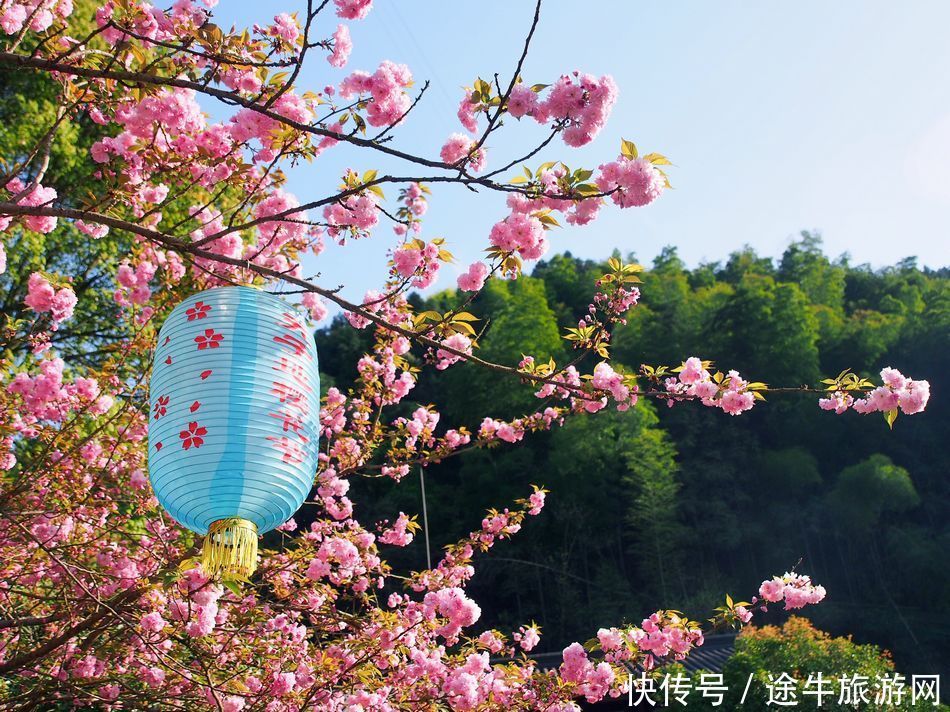 桐庐天子地，集樱花林、溶洞、湖泊峡谷的小众目的地，人少景美