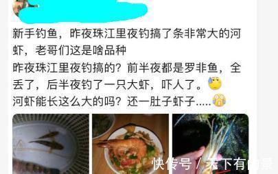 大虾入侵珠江，有人钓起一只发现满腹虾卵，这是要开始繁殖？