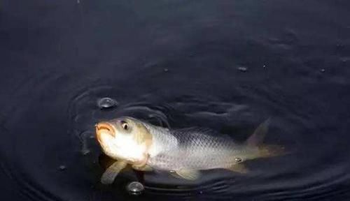 钓具选择“坑”很多，这些华而不实的钓具，多数没啥用！