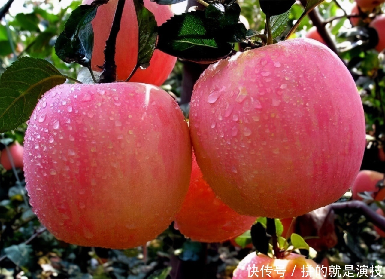 有益健康|想要身体好,3种食物离不开,排毒养颜,有益健康