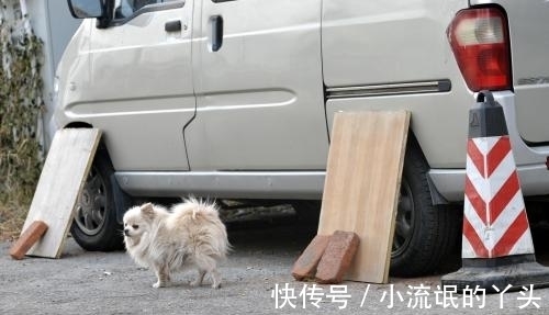 17条有趣的冷知识，不一定都是有用的，但都是真实存在的