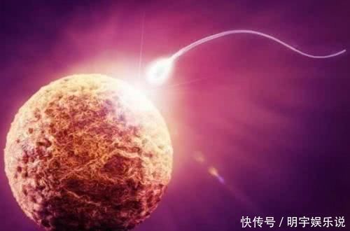 精子|如果卵子没遇到精子,那么排出的“卵子”去了哪里害羞也看完