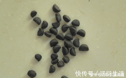 咳嗽|墙角不起眼的花，种子能治病腰疼、水肿、咳嗽用它就行