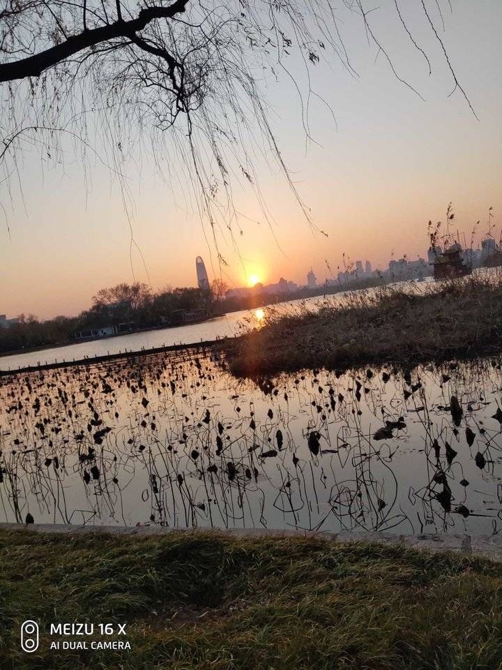 染红|夕阳染红大明湖，残荷展示冬日美