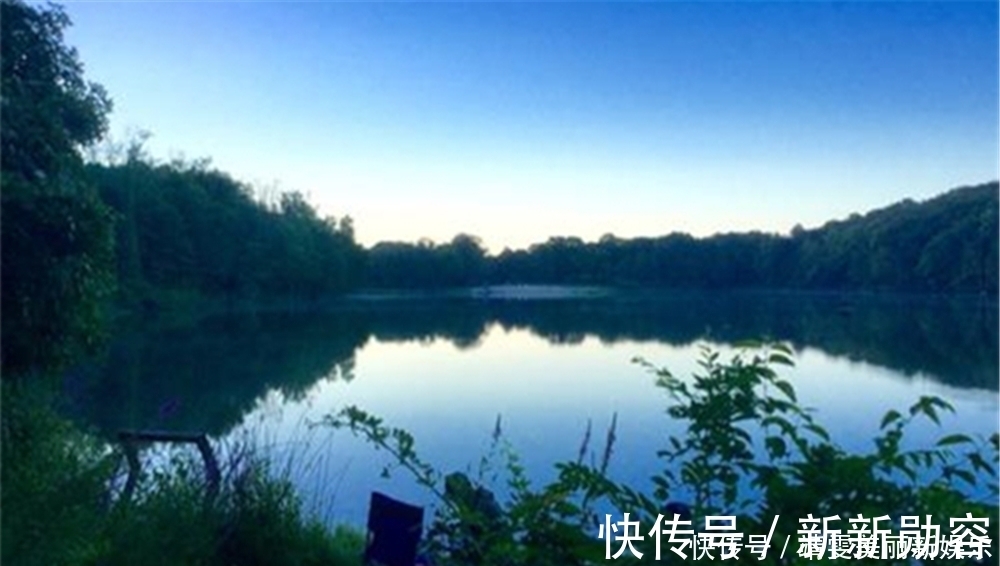 淡季|夏季高温鱼情差,遵循这些基本套路,钓鱼淡季,渔获不淡!