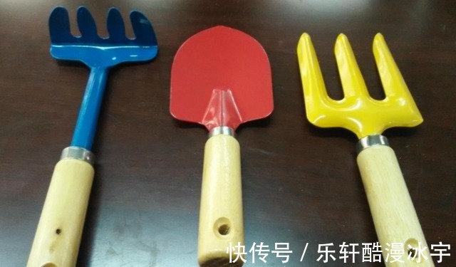 多肉“换盆”有什么困难,该怎么解决看“这”保准不出错