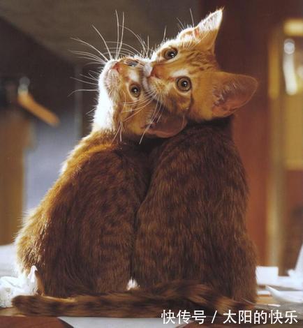 |笑话段子:逗逼老公另类解释拿得起放得下……