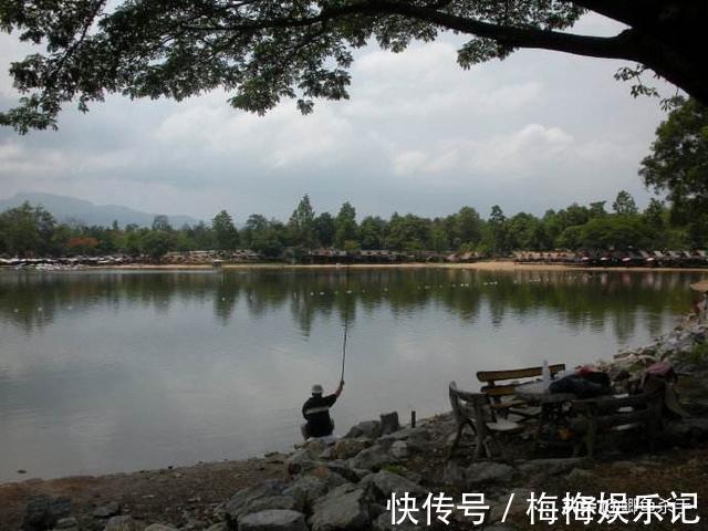 栖息|别再抢老钓位了，“秋老虎”鱼儿都藏在这，选这垂钓事半功倍