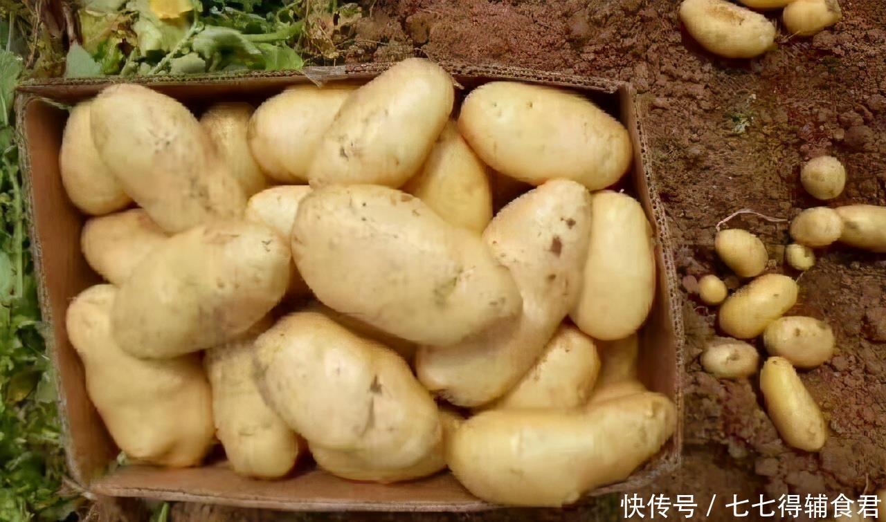 野草莓|女性过了40岁,推荐常吃3种食物,疏通血管,增强免疫力