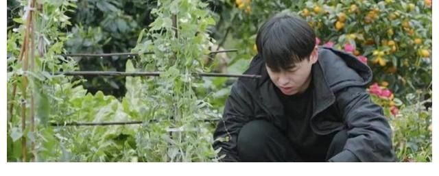 张艺兴|彭昱畅、张艺兴都争着想开的这家“合宝宝”公司究竟是什么?