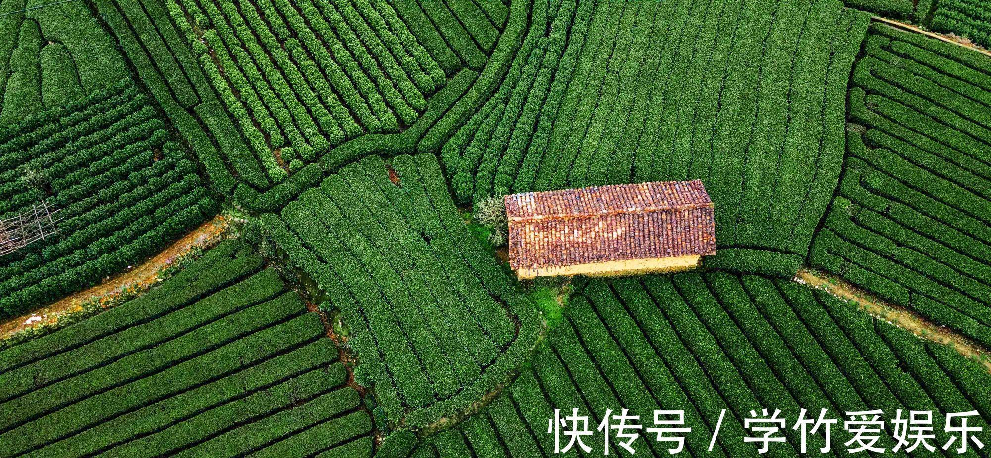 浙江|藏在浙江的绝美仙境，这有云南的梯田、黄山的云海、九寨沟的竹林