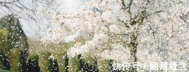 春天里@李煜水平很高的一首词,通篇都在描写忧愁,可是却没有一个愁字!