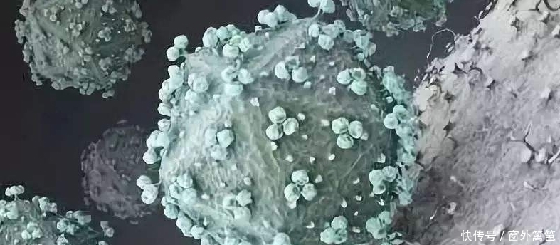 详解传染病四项,乙肝,丙肝,梅毒,艾滋