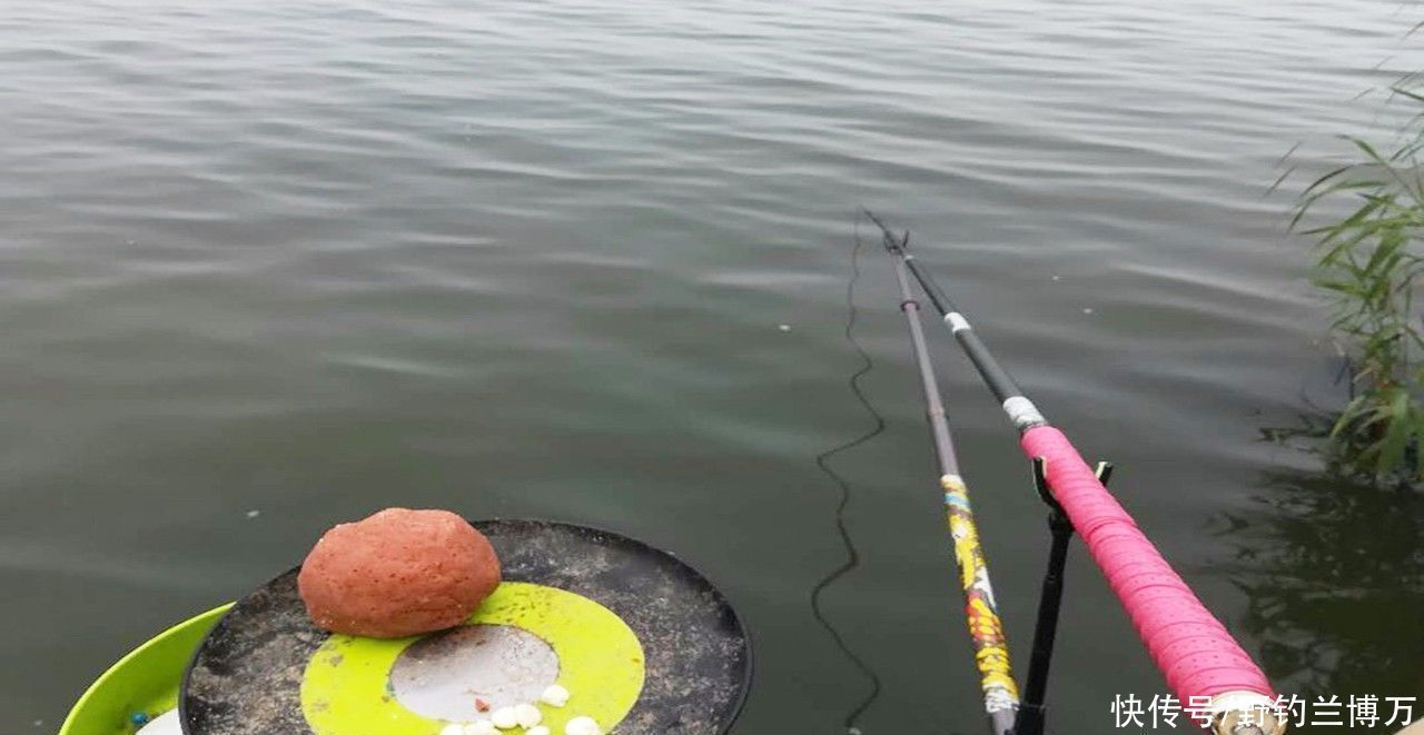 秘密|同样都是钓鱼，为何别人比你钓得多，秘密在这里