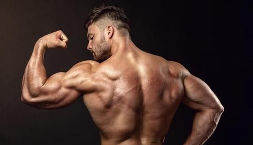 动作|肩部真的难练吗6大动作超级组合，让你练出真正雄壮虎头三角肌