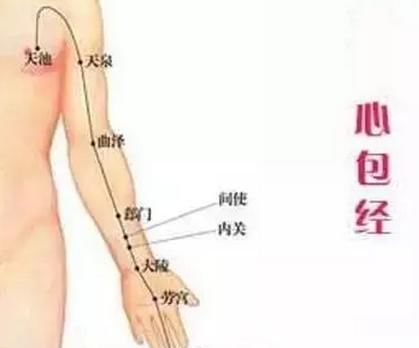 养心|中医养生有3个黄金时间，养胃、养心、养百脉……