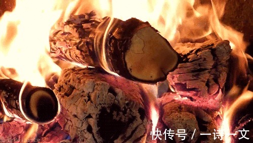 你是$自由与爱,死性不改