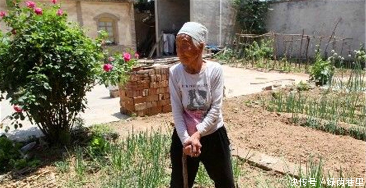 志气|俗语饿死不吃嗟来食,穷死不娶活汉妻,人活着就是争一口气啊!