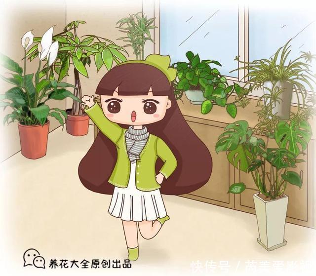 人养花,花也养人,这15种花,越养家里越干净