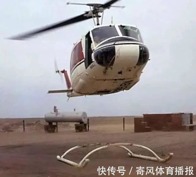 |10张有趣的图片,图片才能看出搞笑的地方