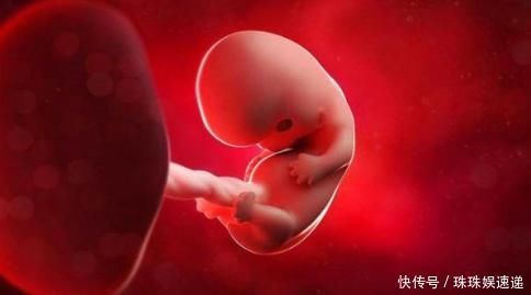 妈妈|孕早期,胎儿3个月都在忙些什么?看完心都被他萌酥了