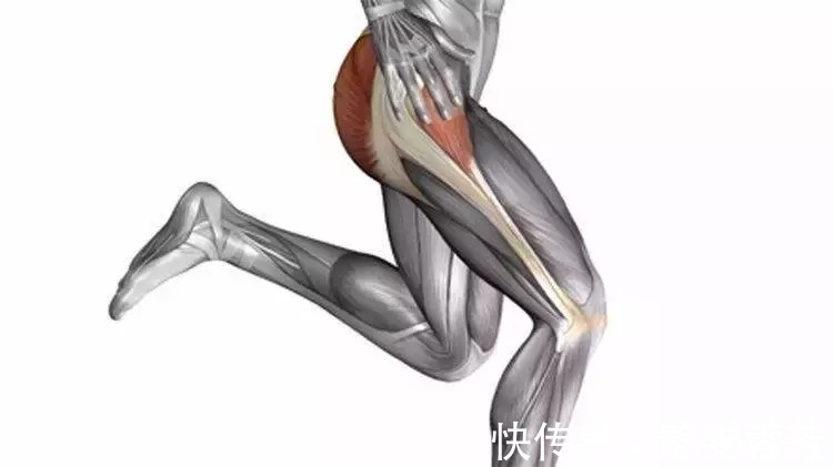 步频|关于跑步健身,常见的4大误区,你一定要知道