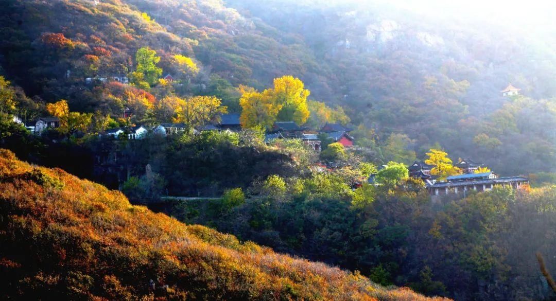 花果山|今日大雪︱寒梅已作东风信，红枫黄叶挽芳菲