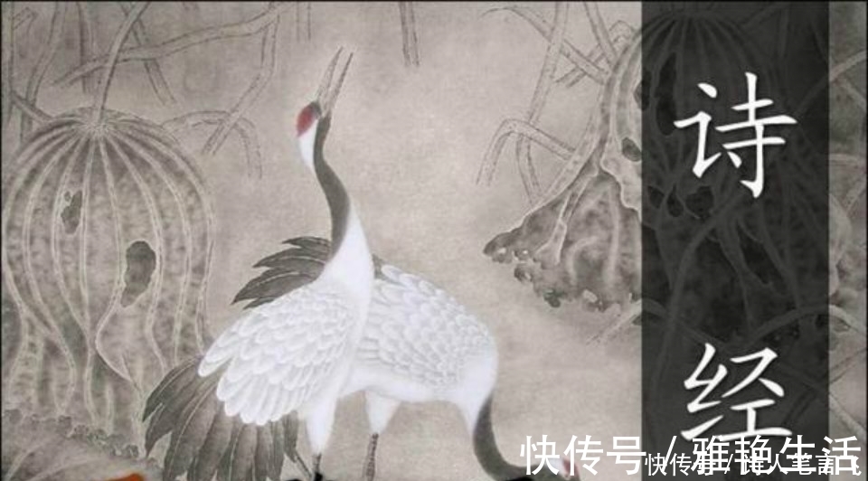 寡妇|一位寡妇给一位鳏夫的情诗，短短几句还大量重复，却流传2000多年